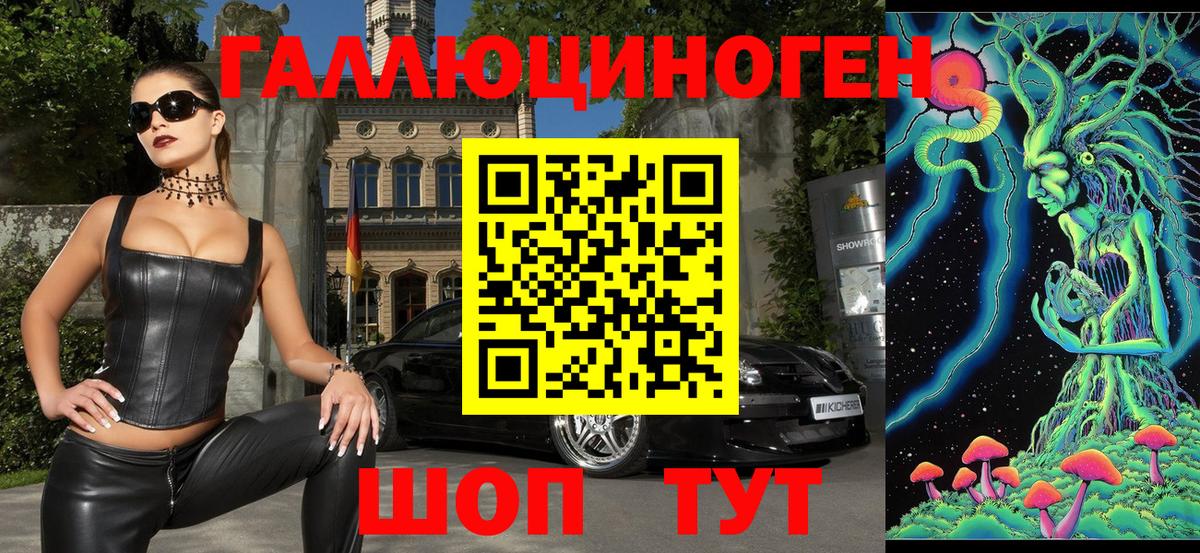 Галлюциногенные грибы Psilocybe Искитим